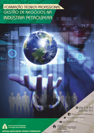 GESTÃO DE NEGÓCIOS NA INDÚSTRIA PETROLÍFERA.
